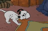 101 Dalmatians 