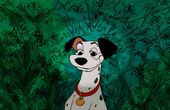 Les 101 Dalmatiens 