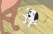101匹忠犬 