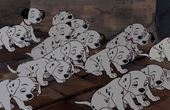 Les 101 Dalmatiens 