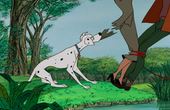 Les 101 Dalmatiens 