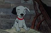 101 Dalmatians 