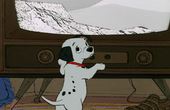 Les 101 Dalmatiens 