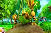 Maya Bee 