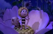 Maya Bee 