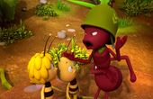 Maya Bee 