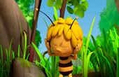 Maya Bee 