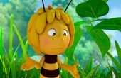 Bee Maya 