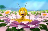 Maya Bee 