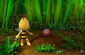 Maya Bee 