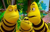 Maya Bee 