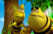 Maya Bee 