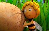 Maya Bee 