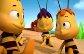 Maya Bee 