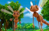 Maya Bee 