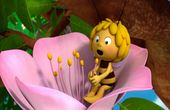 Maya Bee 