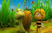 Maya Bee 