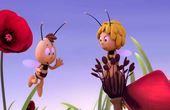 Maya Bee 