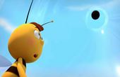 Maya Bee 