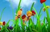 Maya Bee 