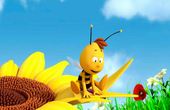 Maya Bee 