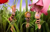 Maya Bee 