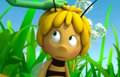 Maya Bee 