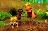 Maya Bee 