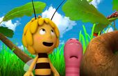 Maya Bee 