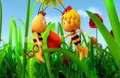 Maya Bee 