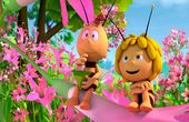 Maya Bee 