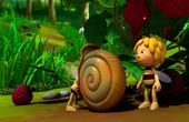 Maya Bee 