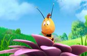 Maya Bee 