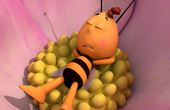 Maya Bee 