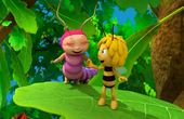 Maya Bee 