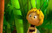 Bee Maya 