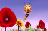 Maya Bee 