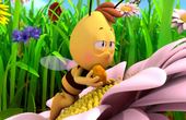 Maya Bee 