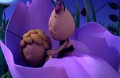 Maya Bee 