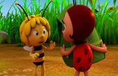 Maya Bee 