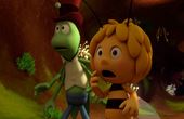 Maya Bee 