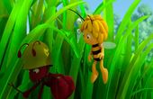 Maya Bee 