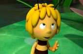 Maya Bee 