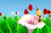 Maya Bee 