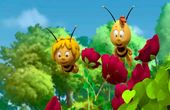 Maya Bee 