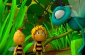 Maya Bee 