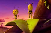 Maya Bee 