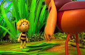 Maya Bee 