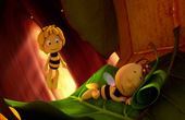 Maya Bee 