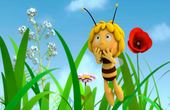 Maya Bee 